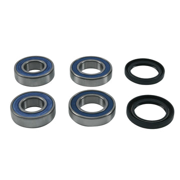 aprilia smv 1200 dorsoduro [ALL BALLS] – wheel bearing set