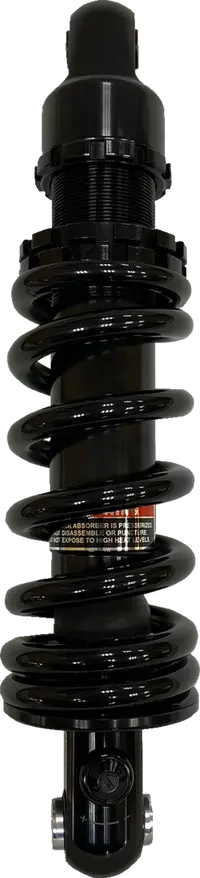 Harley-Davidson FLI 1868 Hydra-Glide Revival 114 [2024] - 12 mm Lambdasonde – Bild 5