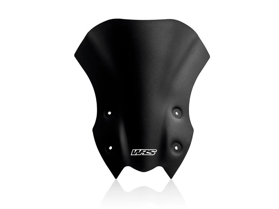 Kawasaki Z 900 [WRS] – Windschild