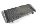 Aprilia RSV 1000 RR Factory [2009] - Radiator Water Cooler-1