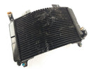 Aprilia RS 250 [1998] - Radiator water cooler defective-2