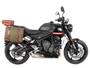 Triumph Trident 660 [2025] - C-Bow Seitenträger-1