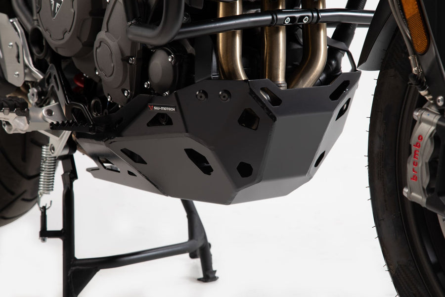 Triumph Tiger 900 GT [2020-2024] - Motorschutz – Bild 1