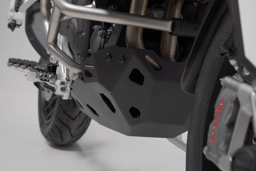 Triumph Tiger 900 GT [2020-2021] - Motorschutz – Bild 5