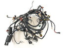 Aprilia RSV 1000 RR Factory [2009] - Wiring Harness-3