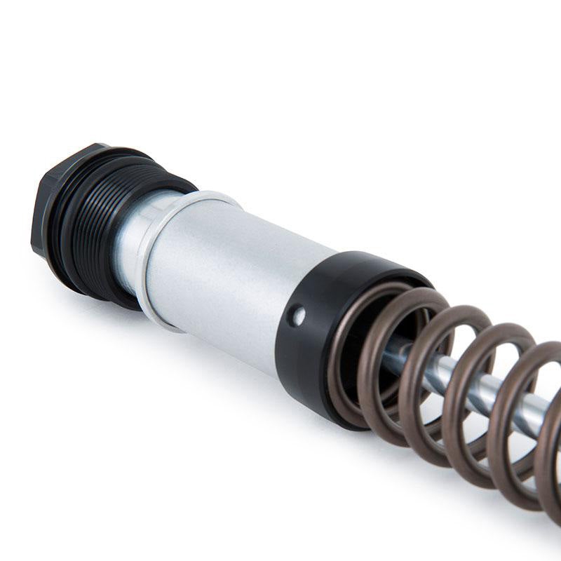 BMW R nineT 1200 Urban G/S (hoher Auspuff) [2017-2023] - Ohlins Gabelkartuschen Nix 22 BMW R NineT (2016-2023)