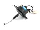 Suzuki Intruder VL 1500 AL [2000] - Dekompressionsmagnet-4