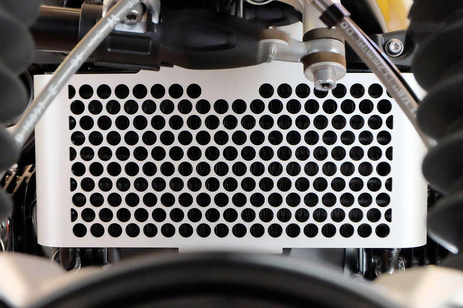 BMW R nineT 1200 Urban G/S (hoher Auspuff) [2017-2023] - Kühlerschutz