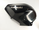 Kawasaki ZX -12R ZXT20A [2004] - Cloadding Cladding Tank Cladding Tank-2