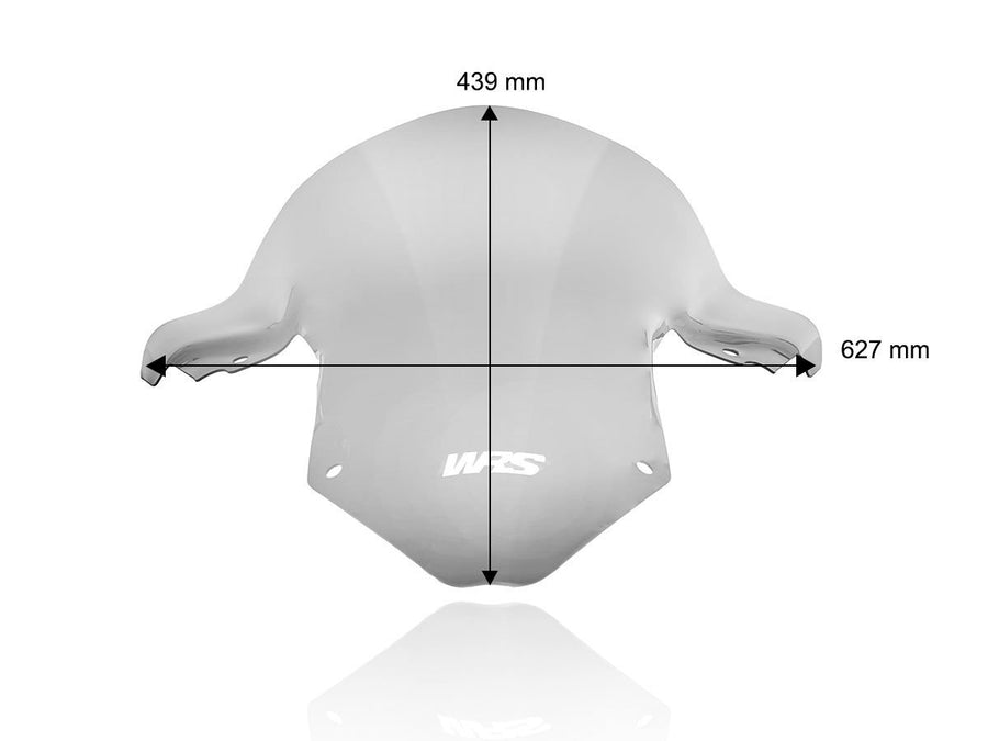 BMW S 1000 RR [2025-2025] - Racing Windschild hoch – Ansicht 10