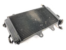 KTM Duke 390 [2014] - Water Cooler Radiator-3