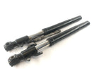Aprilia RS 125 MPB [2000] - Fork Telescopic fork with axle-1