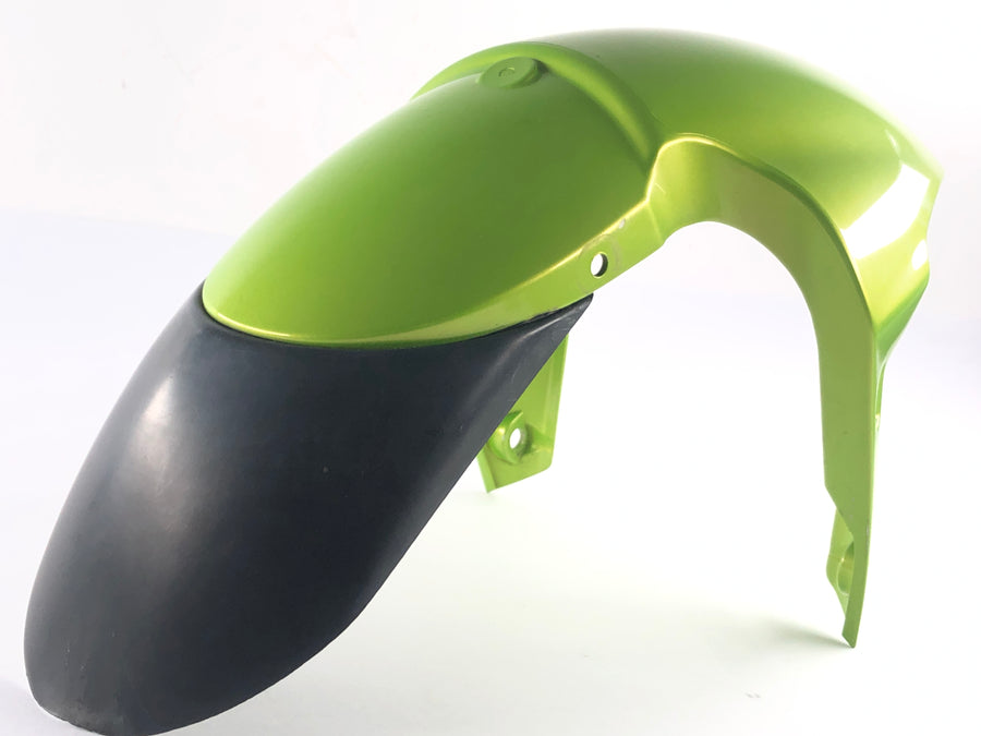 Triumph Street Triple R 675 D67LD [2008] - Front fender
