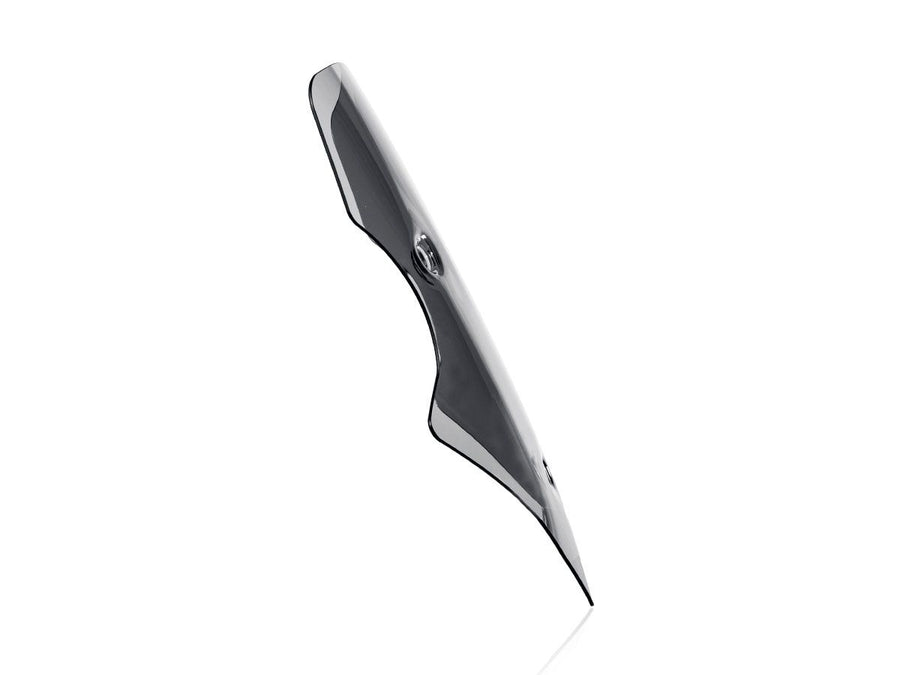 Ducati Multistrada V4 RS [2026-2026] - Caponord Windschild – Ansicht 11