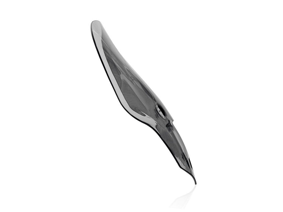 Triumph Tiger 1200 GT Pro [2022-2026] - Touring Windschild – Ansicht 11
