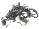 BMW F 800 ST [2006] - kabelboom-1